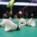 AGB – Badminton Arena Sursee
